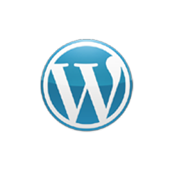 WordPress Development, NK SoftWeb Technologies